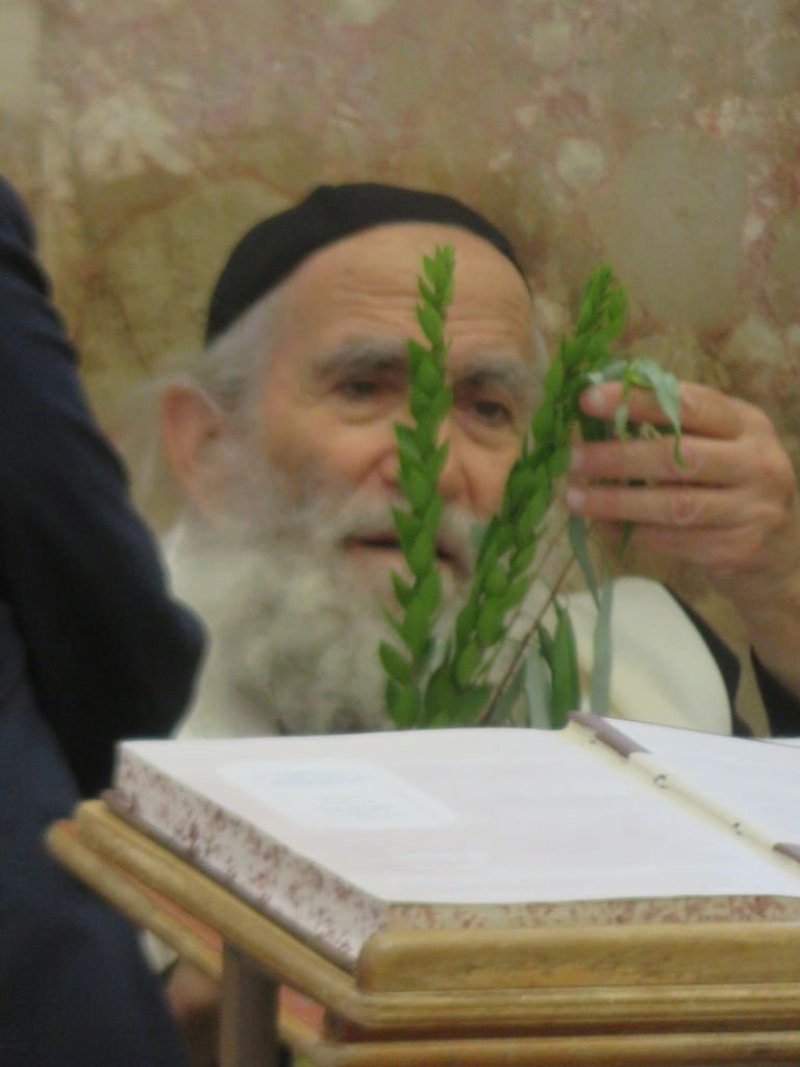 נתי פרל
