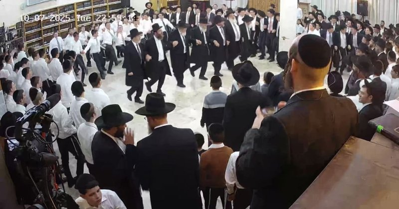 נתי פרל