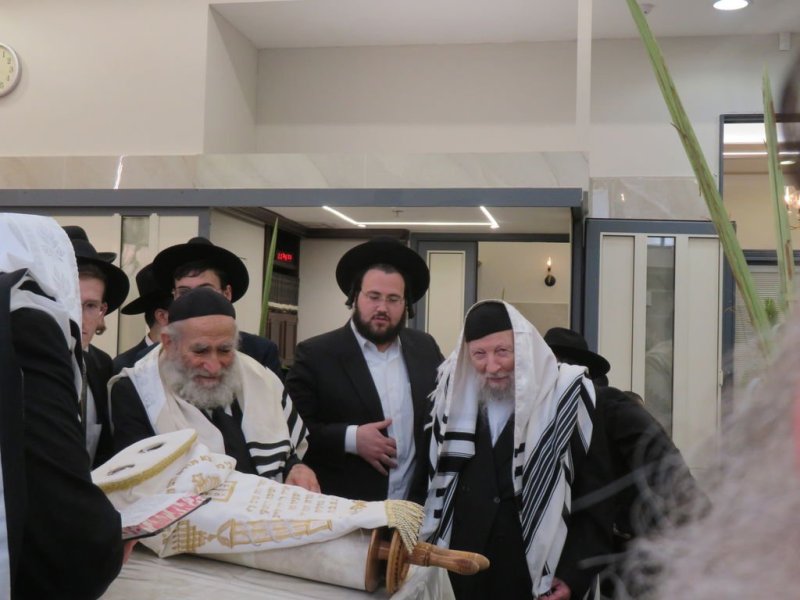 נתי פרל