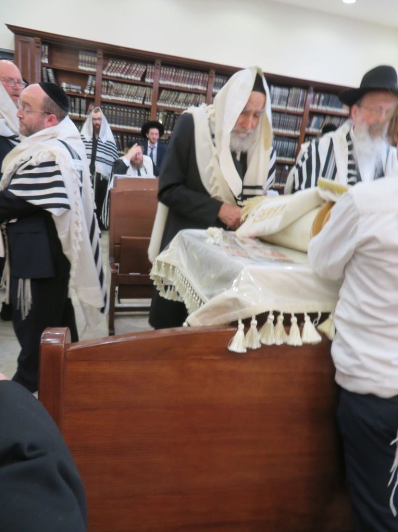 נתי פרל