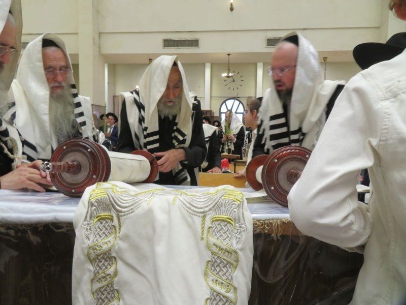 נתי פרל