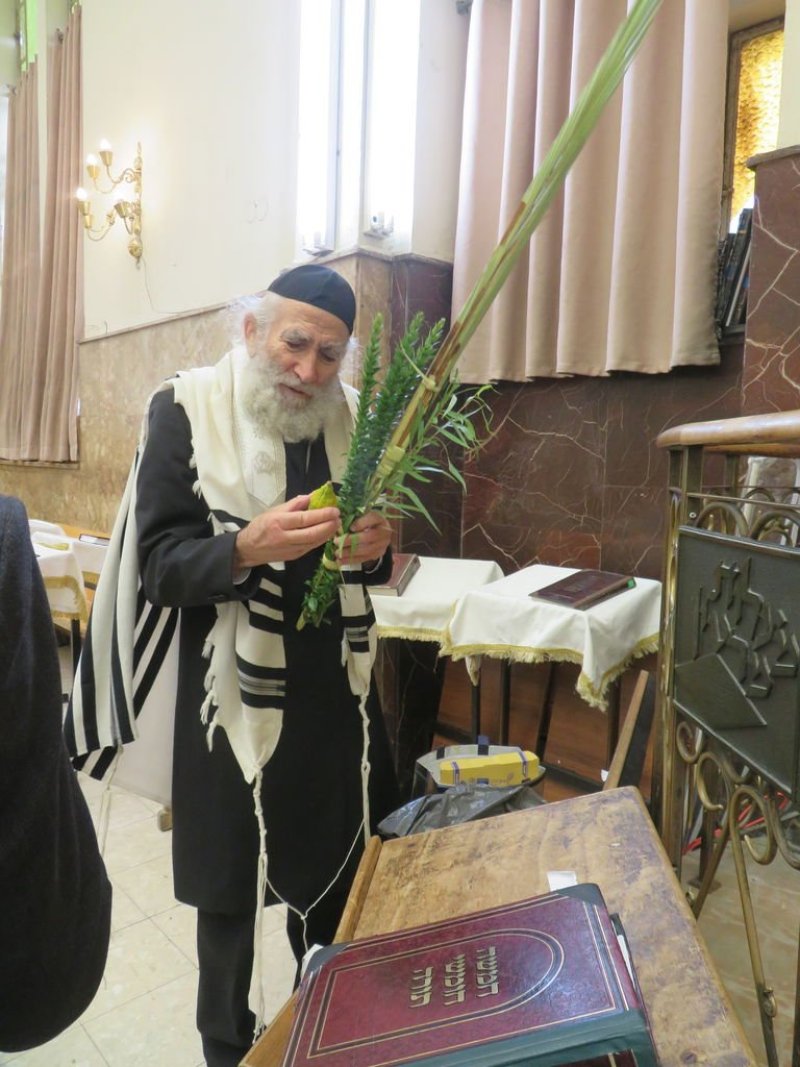 נתי פרל