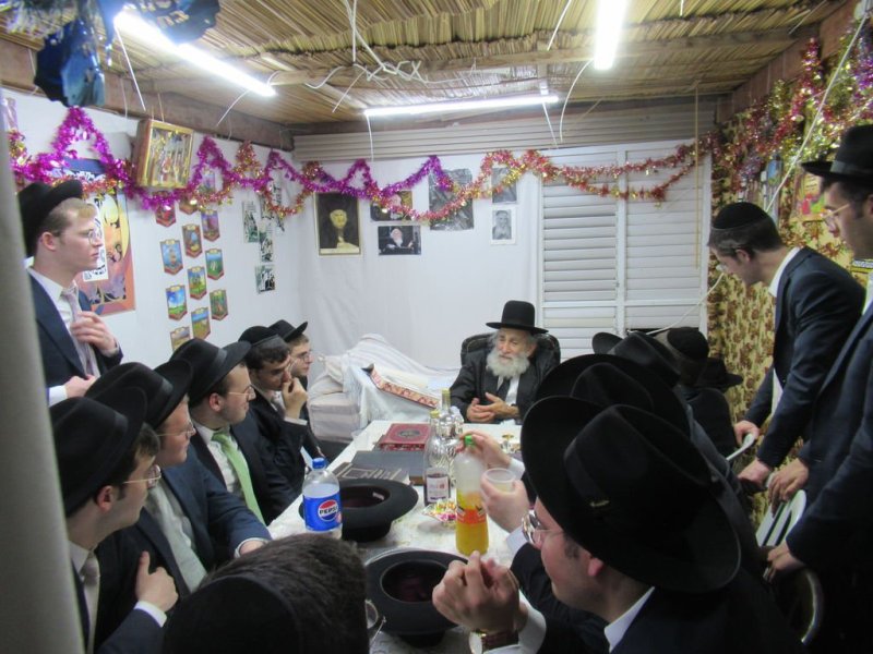 נתי פרל