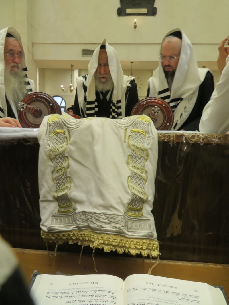 נתי פרל