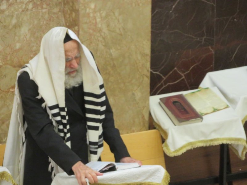 נתי פרל