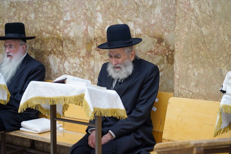 נתי פרל