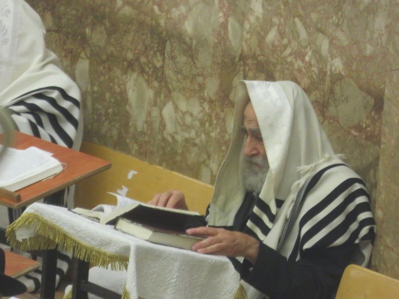 נתי פרל