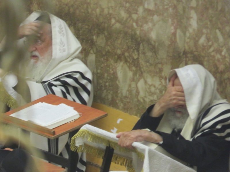 נתי פרל