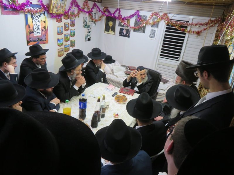 נתי פרל