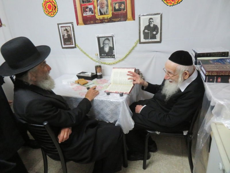 נתי פרל