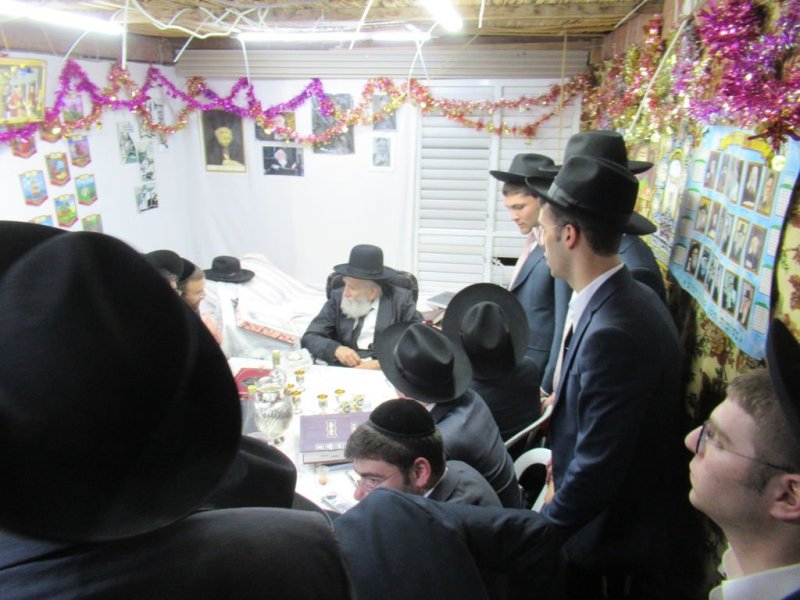 נתי פרל