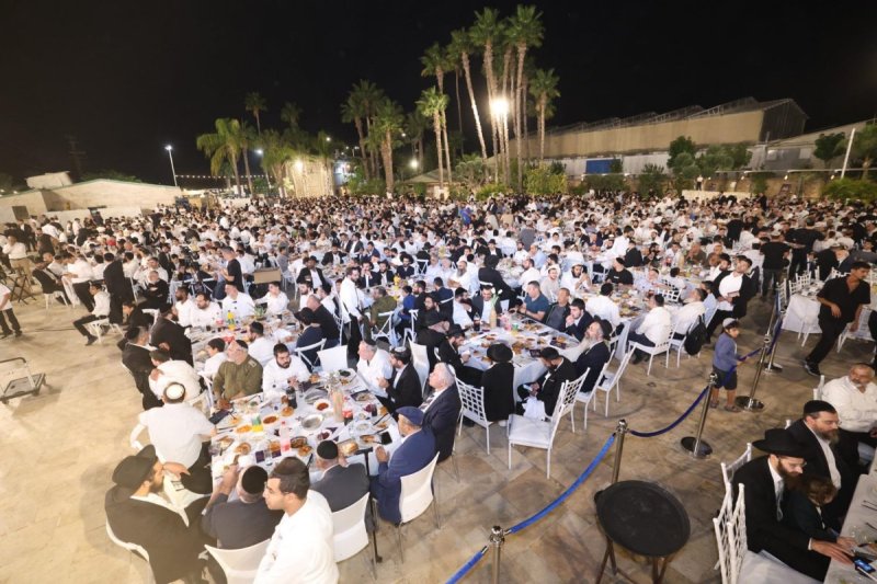 יעקב כהן