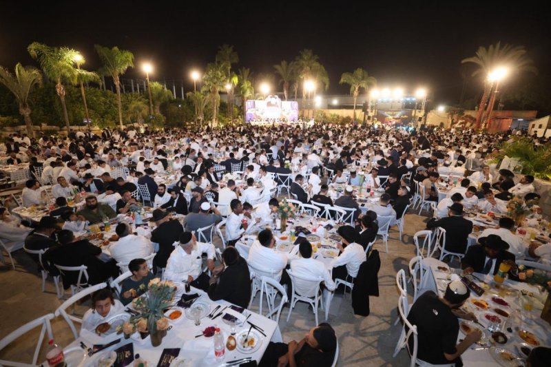יעקב כהן