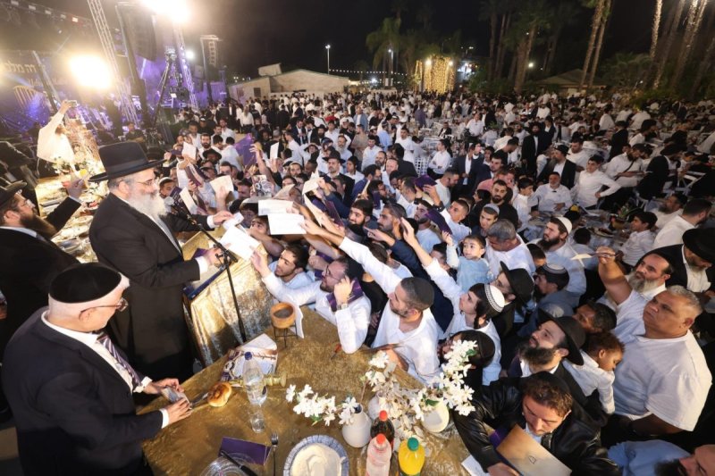 יעקב כהן