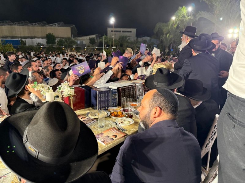 יעקב כהן