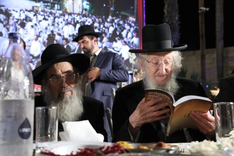 יעקב כהן