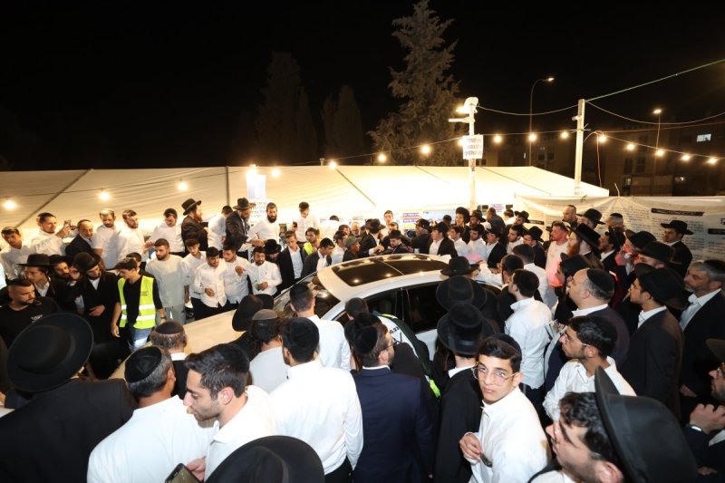 דוד ארזני