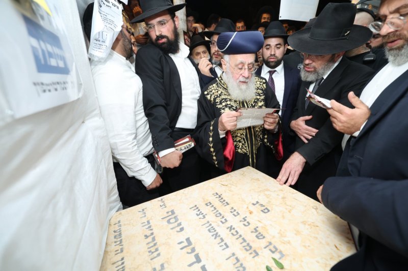דוד ארזני