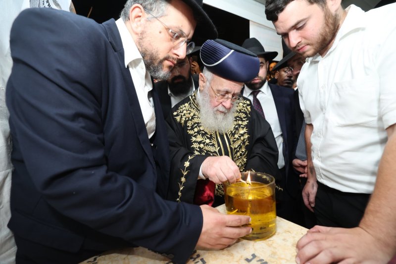 דוד ארזני