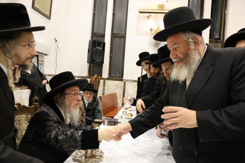 נתי אמרגי