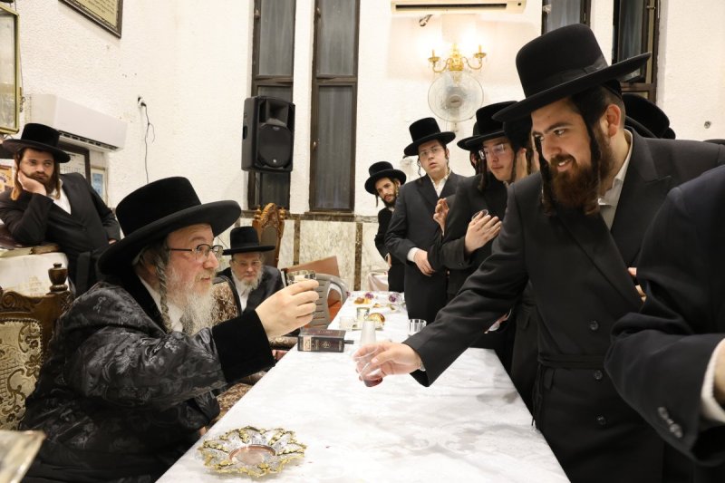 נתי אמרגי