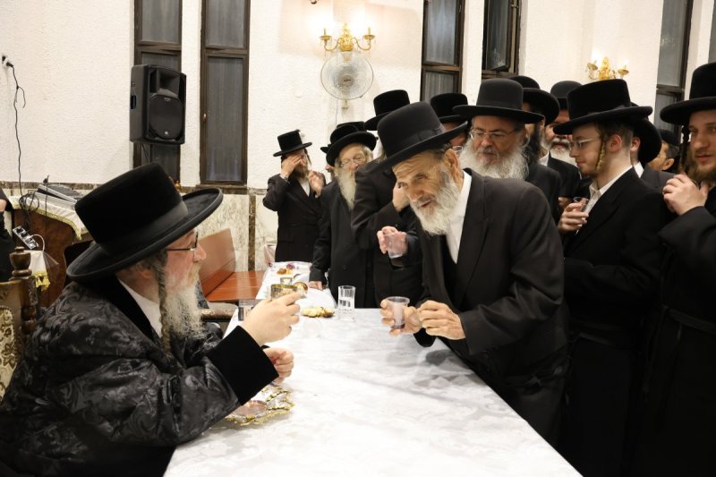 נתי אמרגי