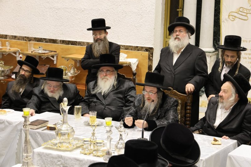 נתי אמרגי