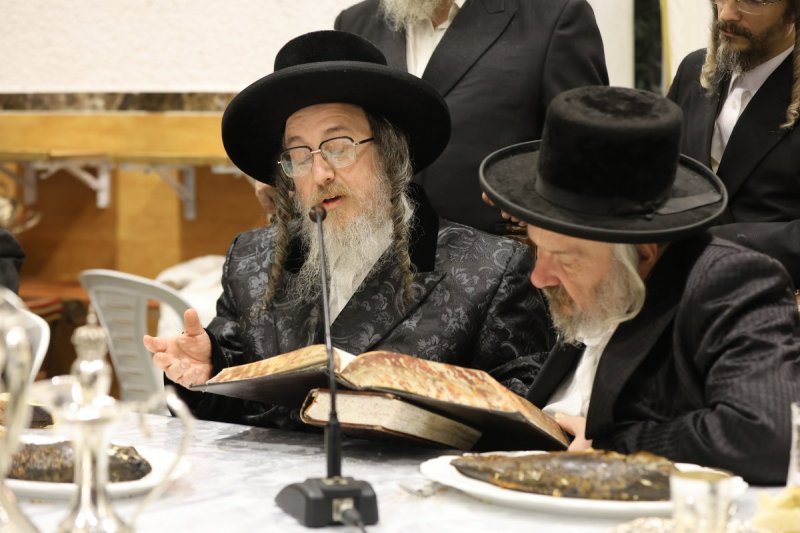 נתי אמרגי