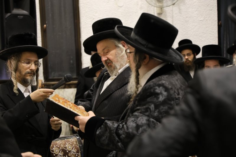 נתי אמרגי
