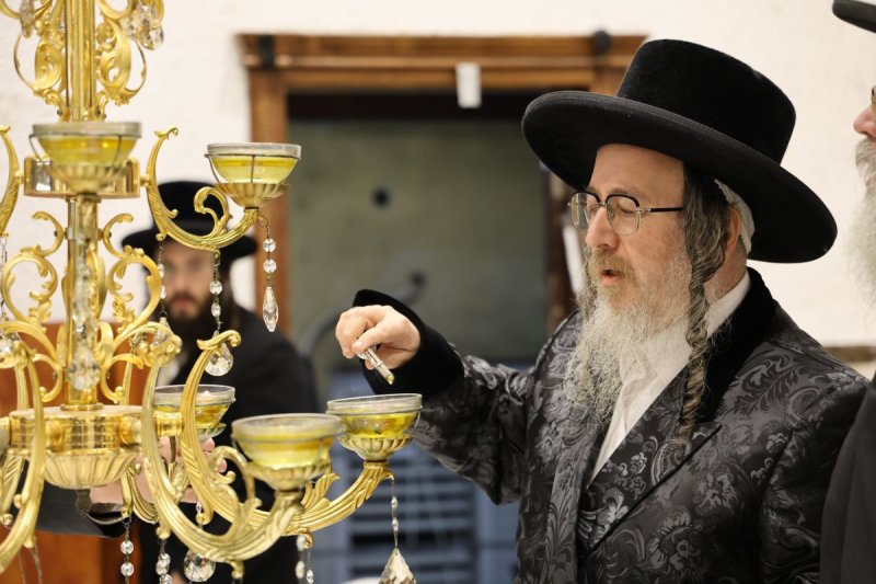 נתי אמרגי