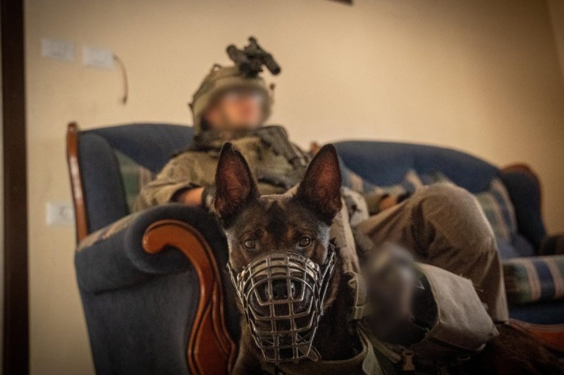 דובר צה"ל