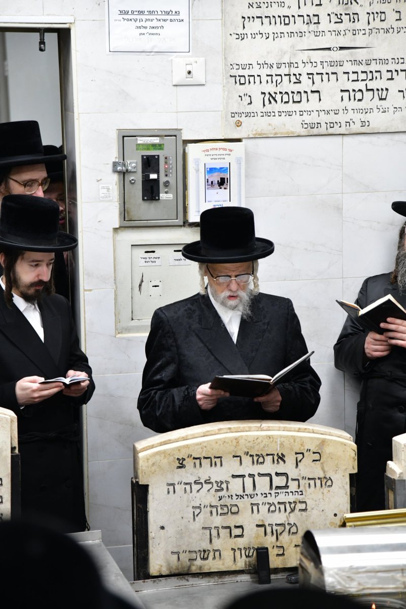 יוסי לוי