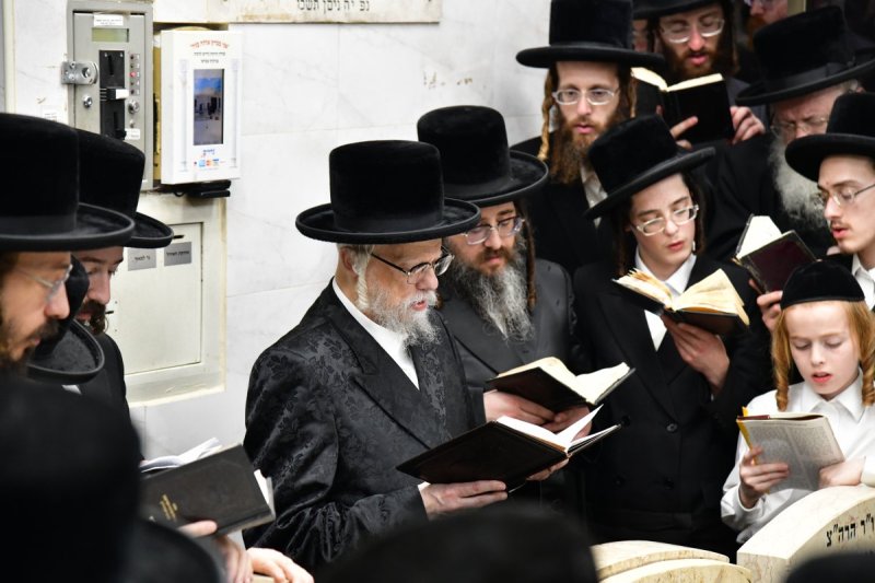 יוסי לוי