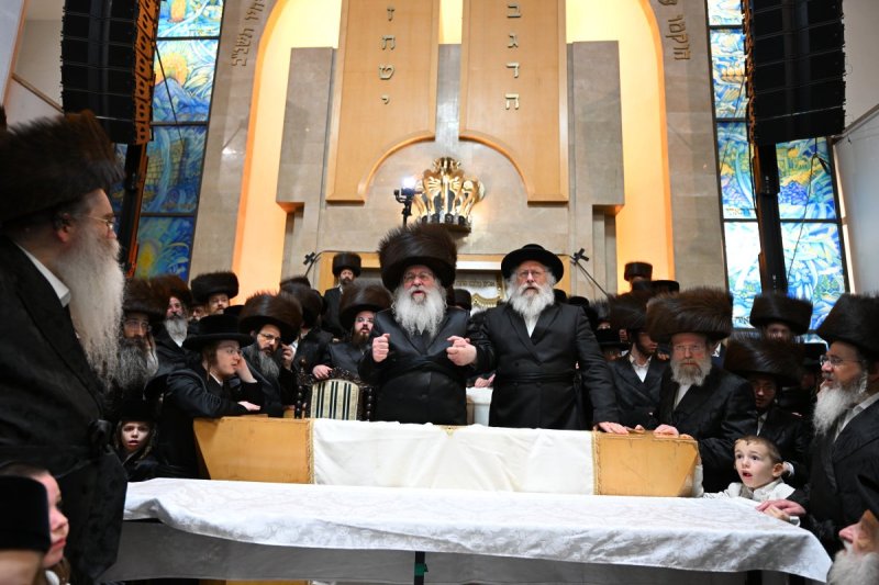 שוקי לרר
