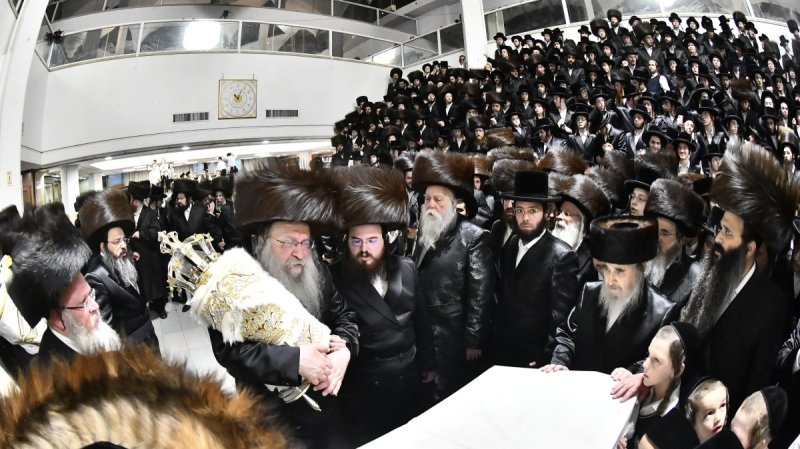 שוקי לרר