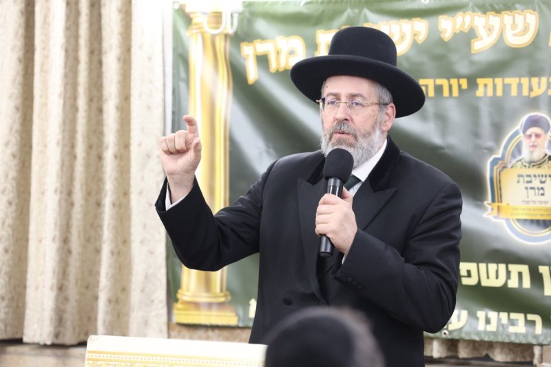 יעקב כהן