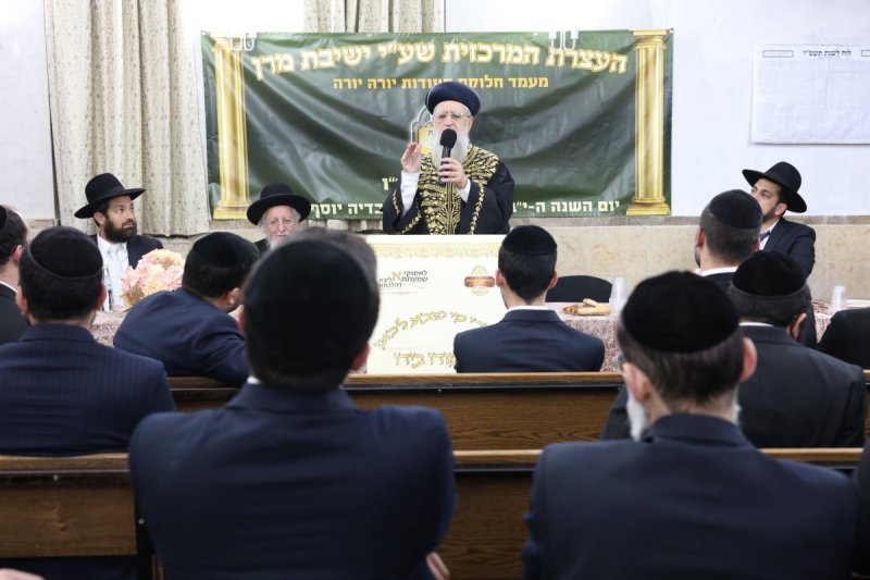 יעקב כהן