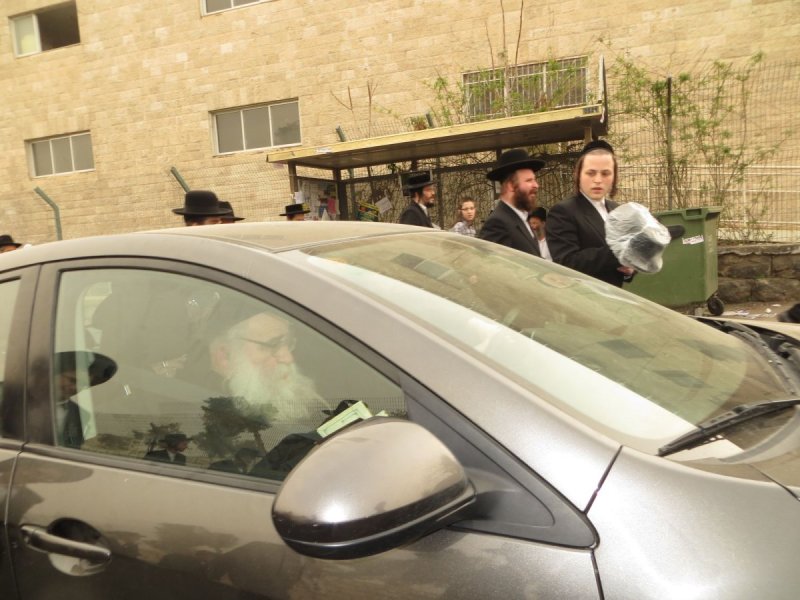 שוקי לרר