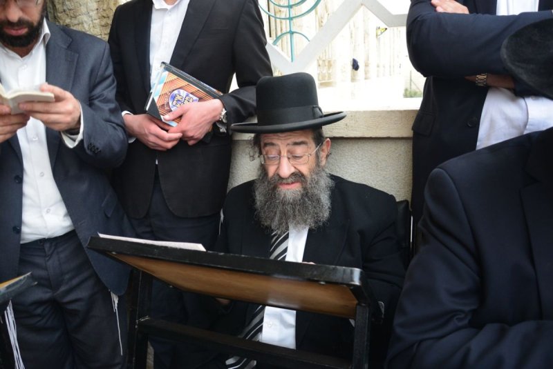 שוקי לרר