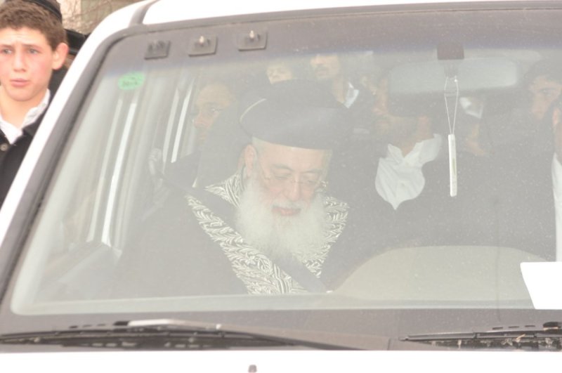 שוקי לרר