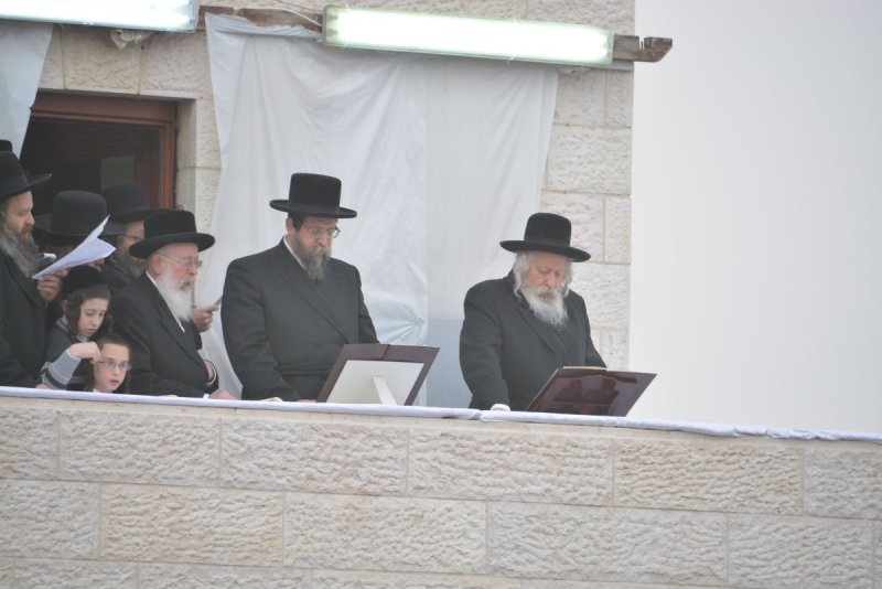 שוקי לרר