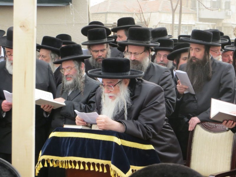 שוקי לרר
