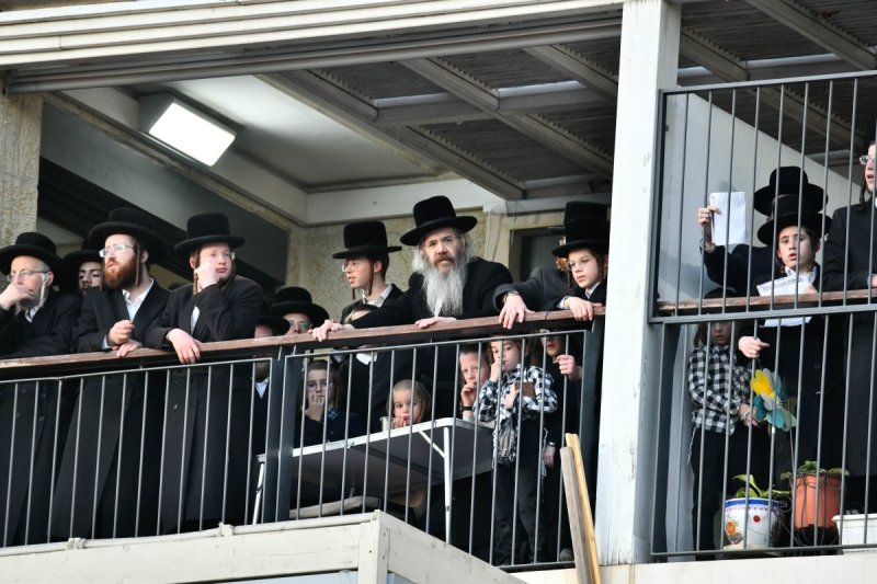 שוקי לרר