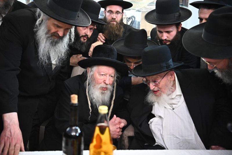 שוקי לרר