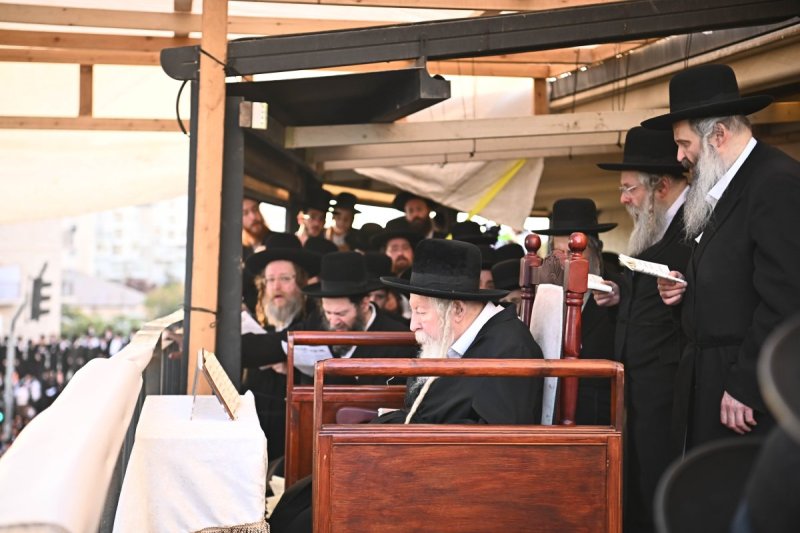שוקי לרר