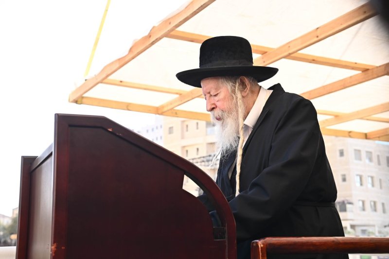 שוקי לרר