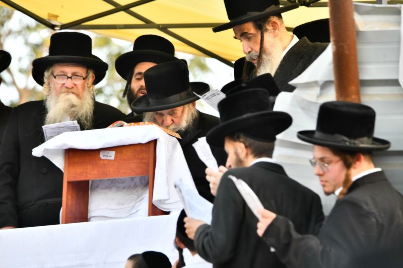 שוקי לרר