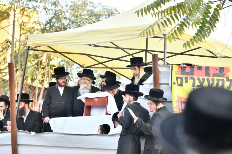 שוקי לרר