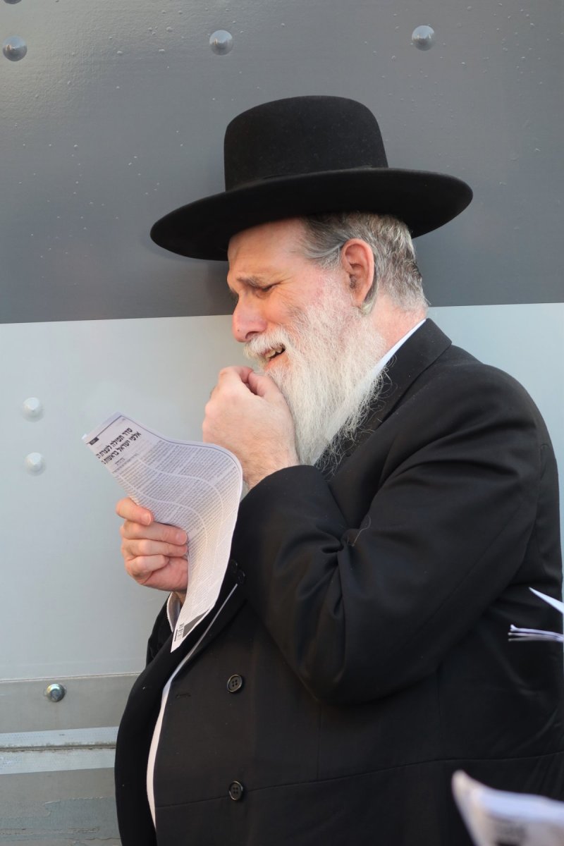 מ. אדלר
