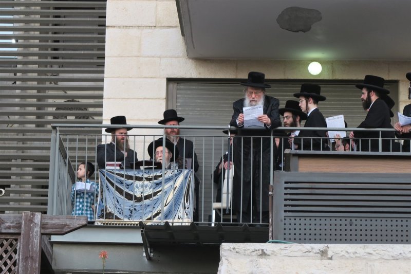 מ. אדלר